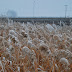 DSLR Filtre: polarizare & ND4/ND8 D60 Polarizare Diverse%252520%25252823%252529 DSLR Filtre: polarizare & ND4/ND8