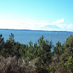DSC00484.jpg
