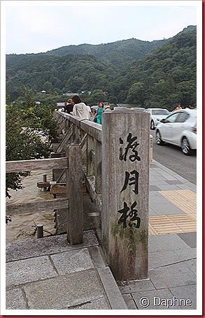 IMG_5146 IMG_5146