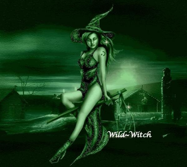 Happy Halloween Wild Witch, Halloween