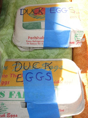 [duck%2520eggs%255B4%255D.jpg]