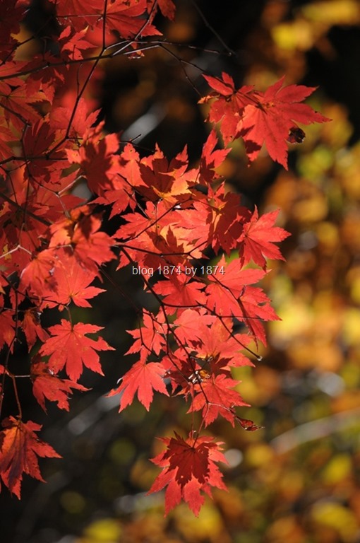 [SYG_4622%255B6%255D.jpg]