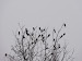 DSC02409.JPG
