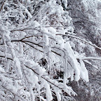20091201 Allgaeu 1006 [640x480].JPG