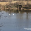 dsc06914.jpg