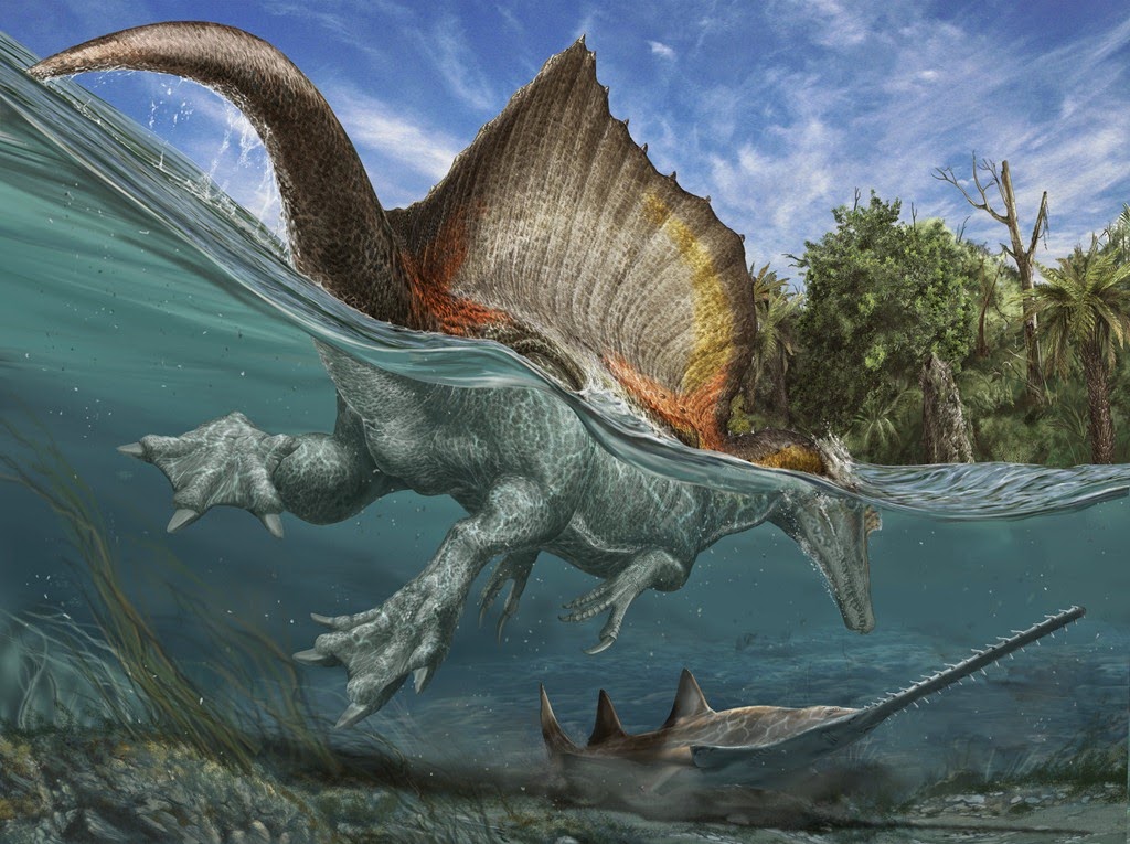 [2-Spinosaurus_swimming%255B4%255D.jpg]