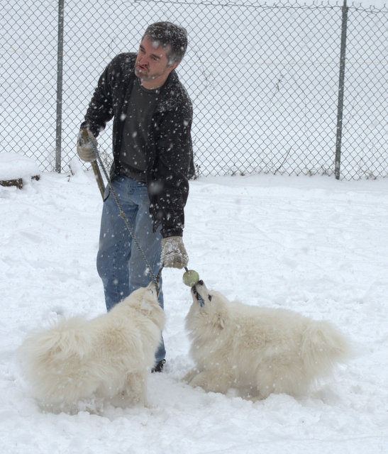 [12-DSC_0034%255B2%255D.png]