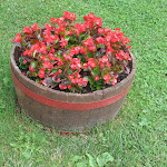 IMG_1213.jpg
