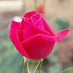 S08402mail.jpg