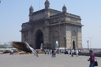 IMGP3228.JPG Photo
