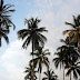 Dsc05431