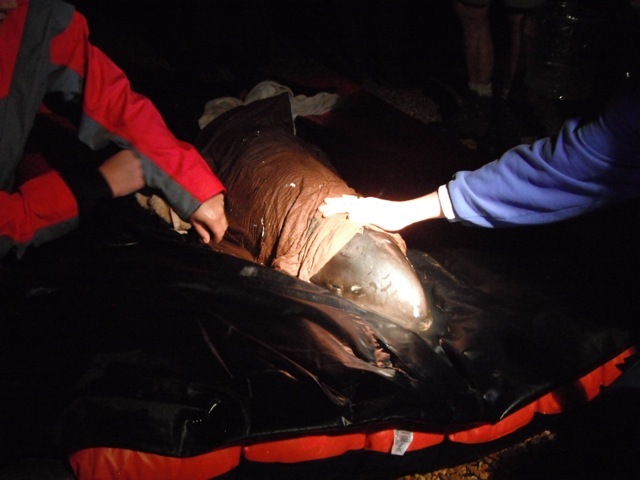 [DSCF2048%255B13%255D.jpg]