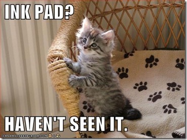 funny-pictures-kitten-has-not-seen-your-ink-pad