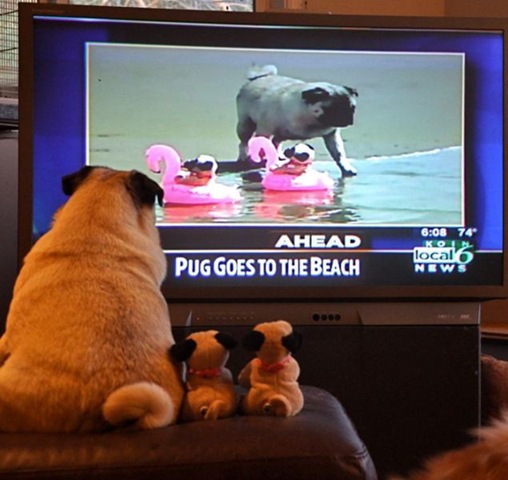 [viral-picdump-pics-27%255B2%255D.jpg]