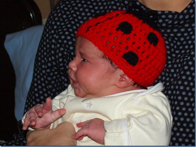 [Rosie%2520in%2520ladybug%2520hat%255B2%255D.jpg]