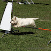 Kundl_20110010.jpg