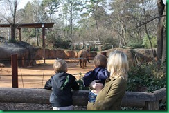 mommy boys elephant mommy boys elephant