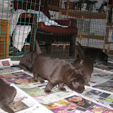 IMG_4553.JPG