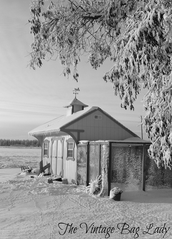 [Christmas-Day-0227.jpg]