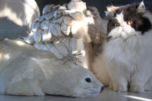 And what do we have here?  Now Empress Tang thinks SHE'S part of the holiday decor.