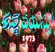 Kanne Vayasu