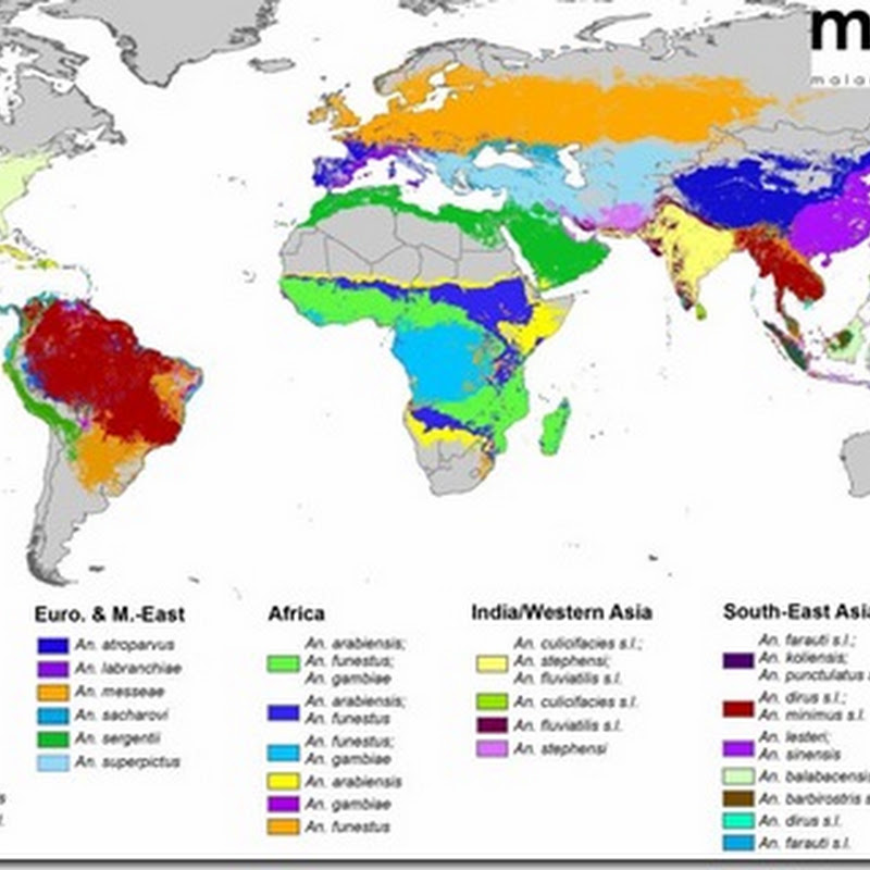 El mapa global de los vectores dominantes de la malaria