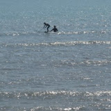 Kamakura 2005