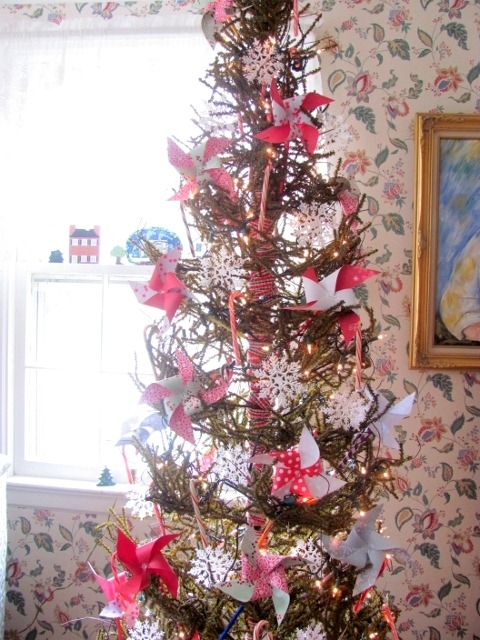 [Tree-3---46.jpg]