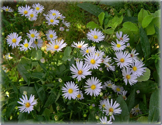 DSCN4469 DSCN4469