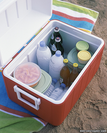 You can use water bottles twice at your summer picnic, first as ice packs, then as thirst quenchers. Before freezing, pour out about an inch of water to give the water room to expand. The bottles help keep food chilled, but will thaw as the day goes on -- leaving you with another round of cold drinks. (marthastewart.com/272871/picnic-packing)