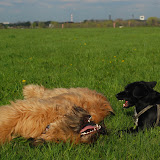 Abi - DSC_0260.jpg
