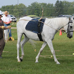 IMG_4852.JPG