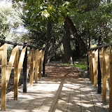 DEIFONTES VARIAS