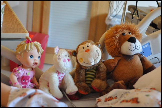 DSC_0489 DSC_0489