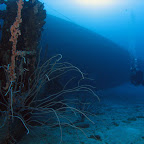 Hilma Hooker