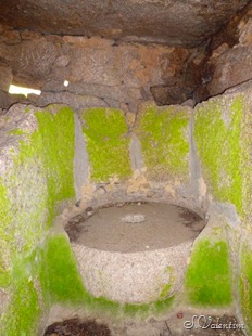 [P1190489%255B4%255D.jpg]