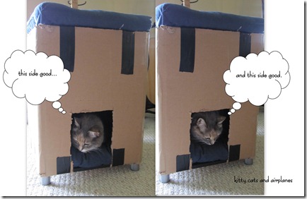 Cat houses