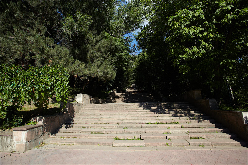 IMG_6918.jpg