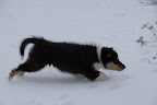 _DSC0069.JPG