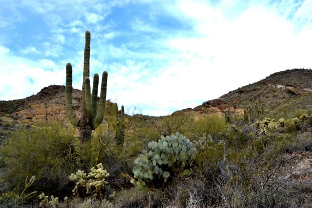 [DSC_0004-mi%255B3%255D.jpg]