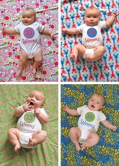 Nora weeks 13 thru16 collage