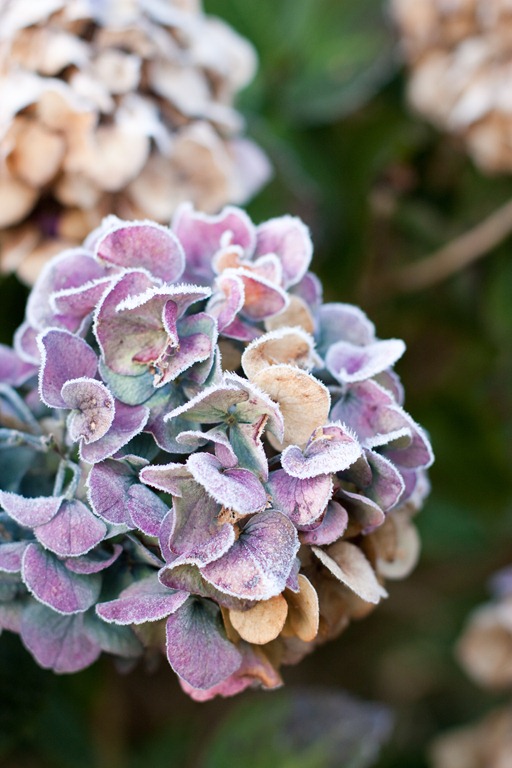 [20111106-IMG_84463.jpg]