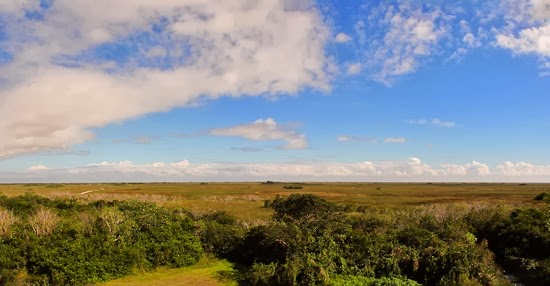 Everglades National Park Shark Valley Bicycle Ride 010-Edit