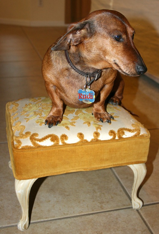 [sis%2520b%2520day%2520001%255B4%255D.jpg]