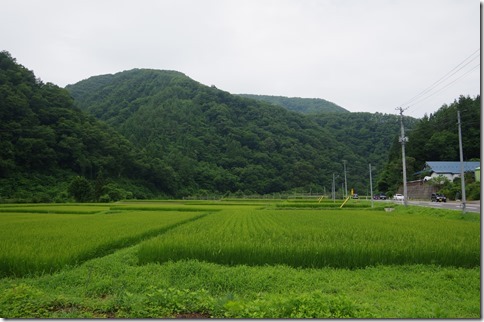 IMGP7709 IMGP7709