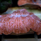 DSC_2109.jpg