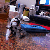 2012021202