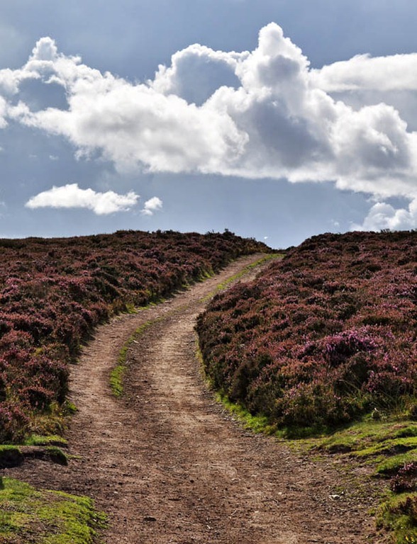 [Path%2520to%2520Pole%2520Bank%255B3%255D.jpg]