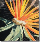Themel_DandelionDetail2