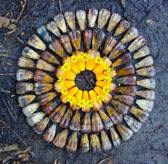 10 10
